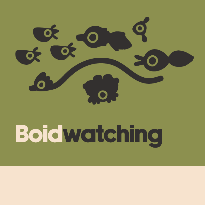 Boidwatching